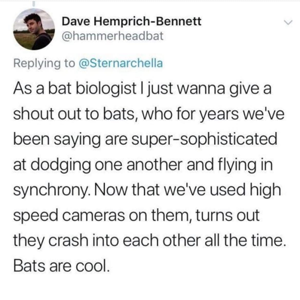 funny memes nightly As a bat biologist I just wanna give a shout out to bats, who for years we've been saying are super-sophisticated at dodging one another and flying in synchrony. Now that we've used high speed cameras on them, turns out they crash into each other all the time. Bats are cool.