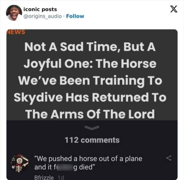 funny memes Not A Sad Time, But A Joyful One: The Horse We've Been Training To Skydive Has Returned To The Arms Of The Lord 112 comments "We pushed a horse out of a plane and it fi g died"