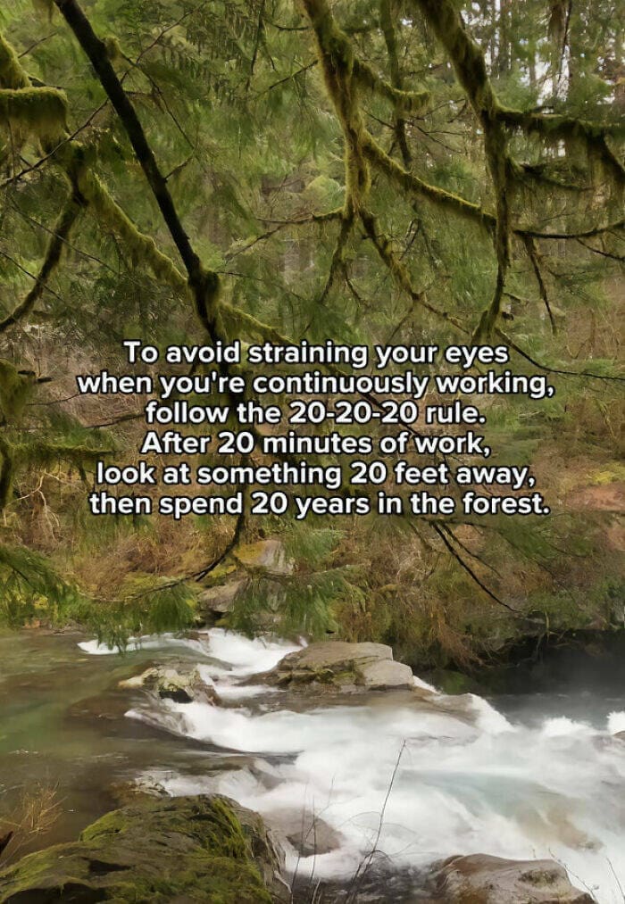funny memes To avoid straining your eyes when vou're continuously working, follow the 20-20-20 rule. After 20 minutes of work, look at something 20 feet away, then spend 20 years in the forest.