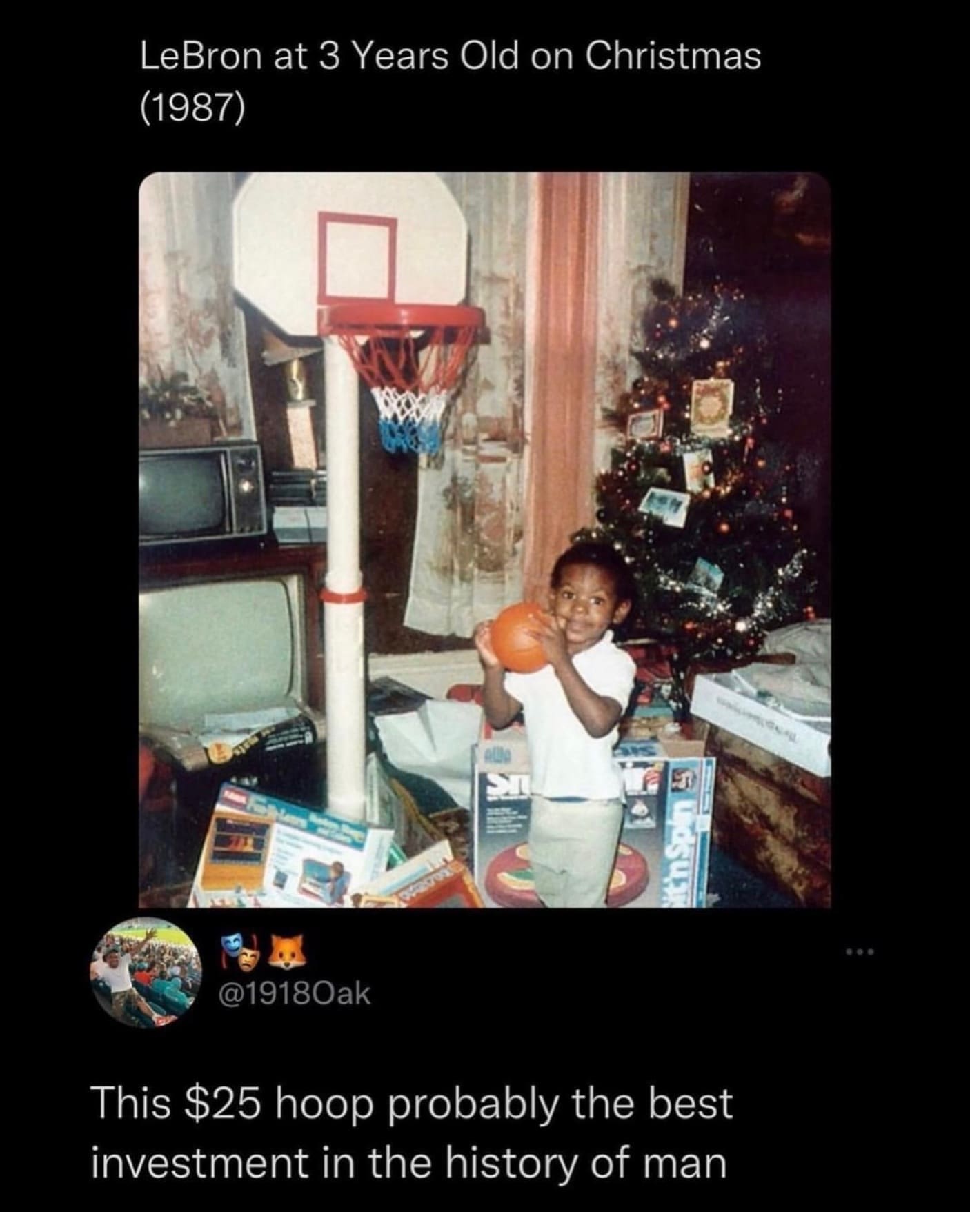 funny memes LeBron at 3 Years Old on Christmas (1987) @19180ak This $25 hoop probably the best investment in the history of man