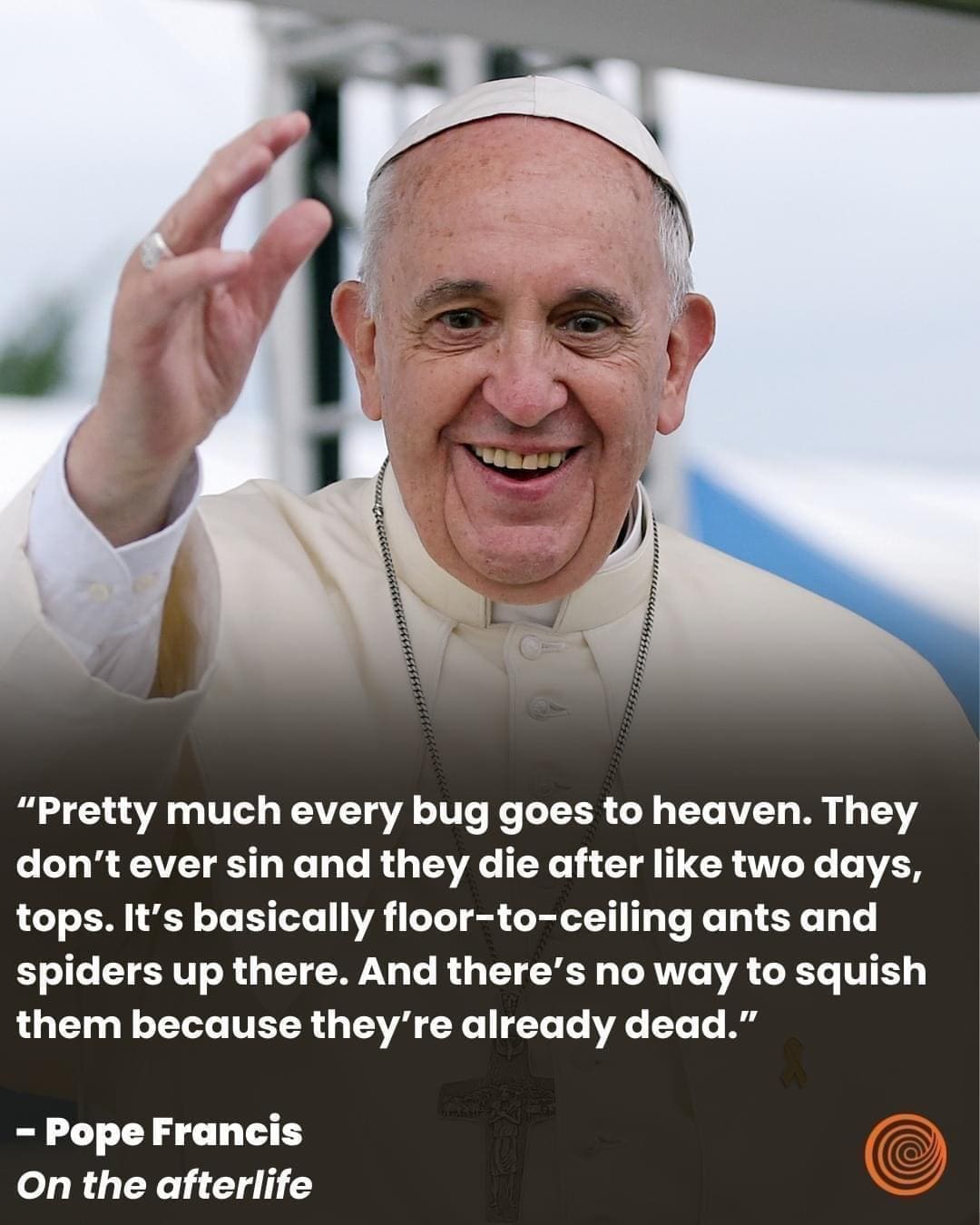 funny memes "Pretty much every bug goes to heaven. They don't ever sin and they die after like two days, tops. It's basically floor-to-ceiling ants and spiders up there. And there's no way to squish them because they're already dead." - Pope Francis On the afterlife