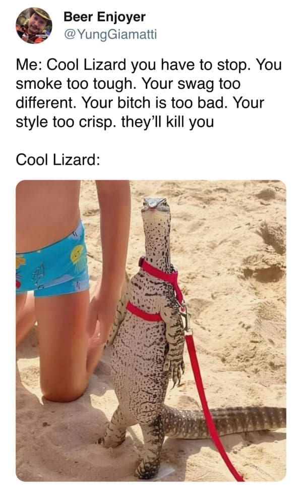 funny memes Me: Cool Lizard you have to stop. You smoke too tough. Your swag too different. Your bitch is too bad. Your style too crisp. they'll kill you Cool Lizard: