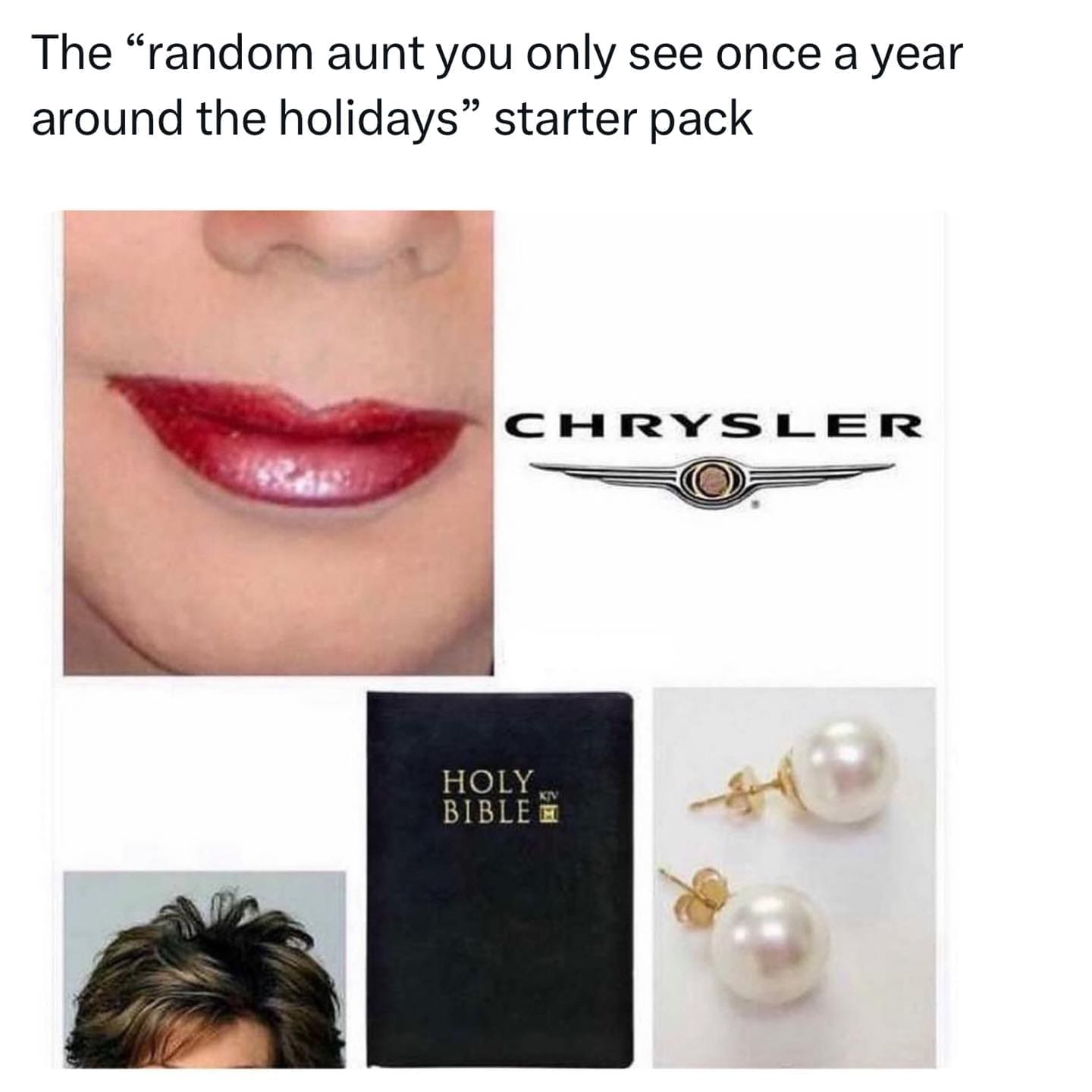 funny memes The "random aunt you only see once a year around the holidays" starter pack CHRYSLER HOLY BIBLE E