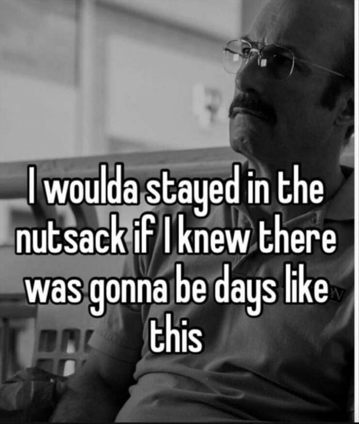 funny memes I woulda stayed in the sack if I knew there was gonna be days like this