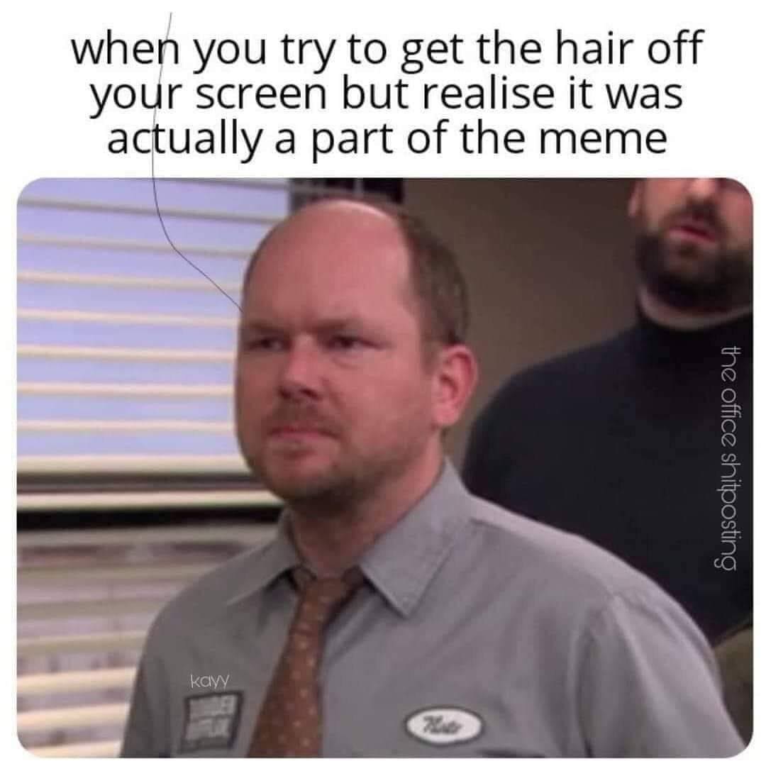 funny memes when you try to get the hair off your screen but realise it was actually a part of the meme