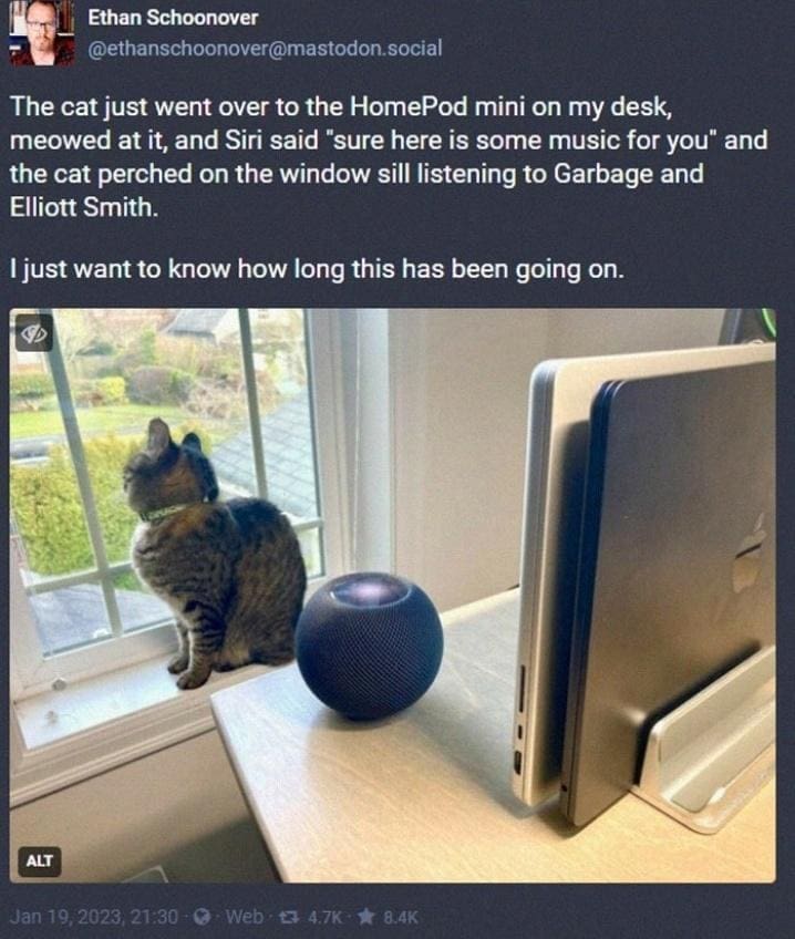 funny memes The cat just went over to the HomePod mini on my desk, meowed at it, and Siri said "sure here is some music for you" and the cat perched on the window sill listening to Garbage and Elliott Smith. 1 just want to know how long this has been going on.