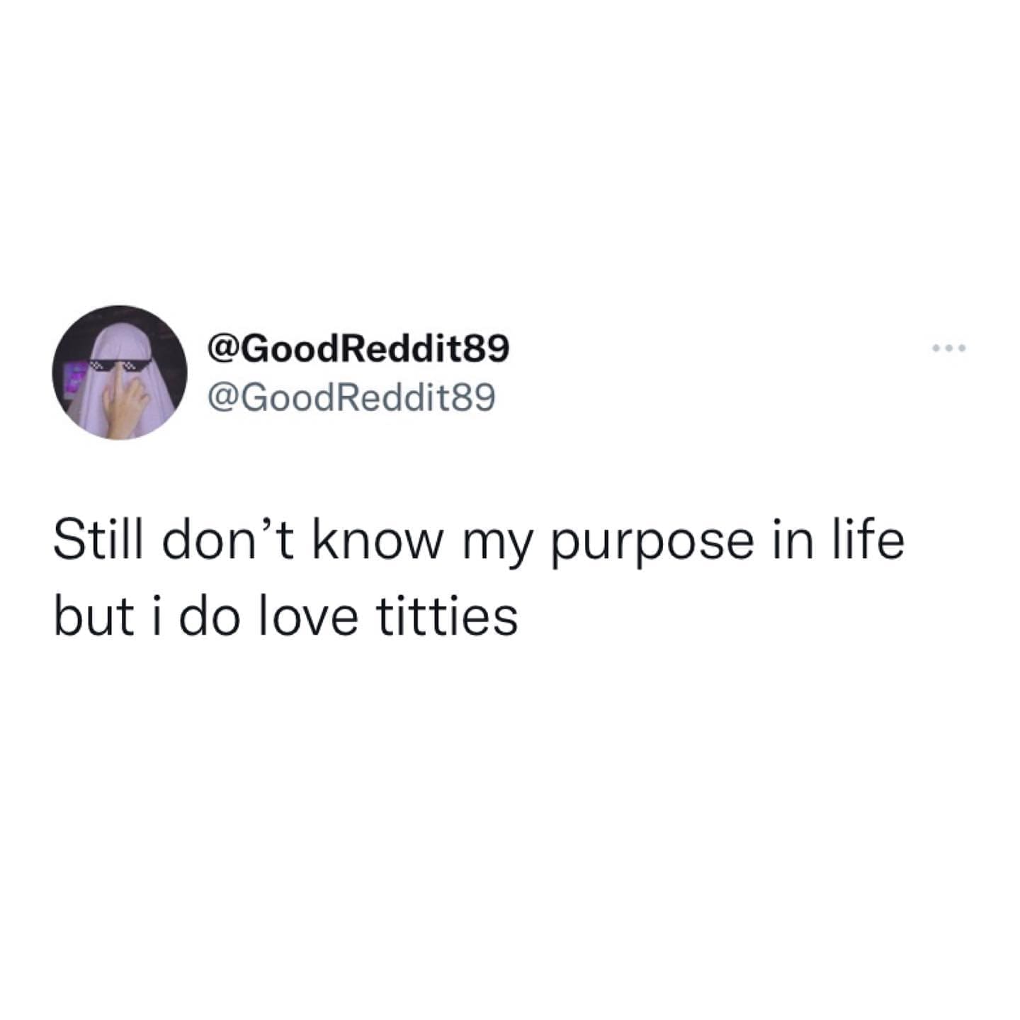 funny memes Still don't know my purpose in life but i do love titties