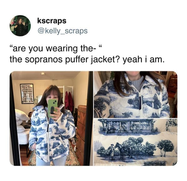funny memes "are you wearing the-" the sopranos puffer jacket? yeah i am.