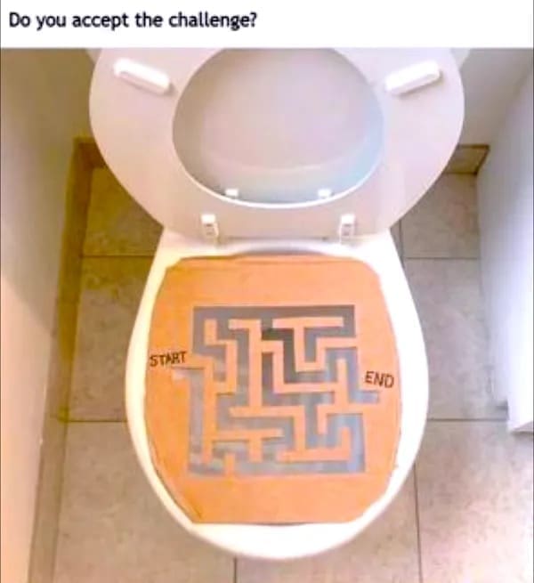 funny pics Do you accept the challenge? toilet