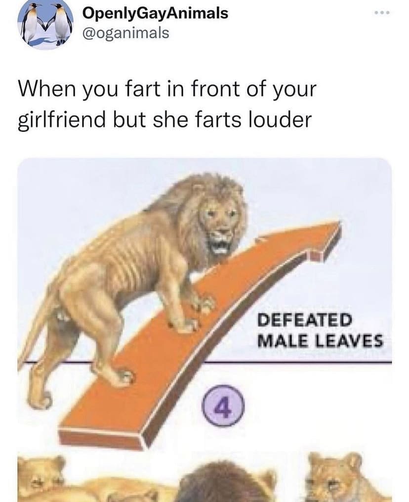 funny pictures When you fart in front of your girlfriend but she farts louder DEFEATED MALE LEAVES