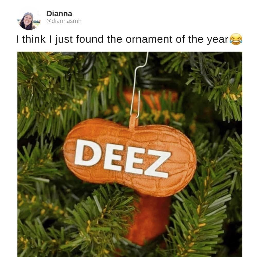 funny pictures I think I just found the ornament of the year DEEZ