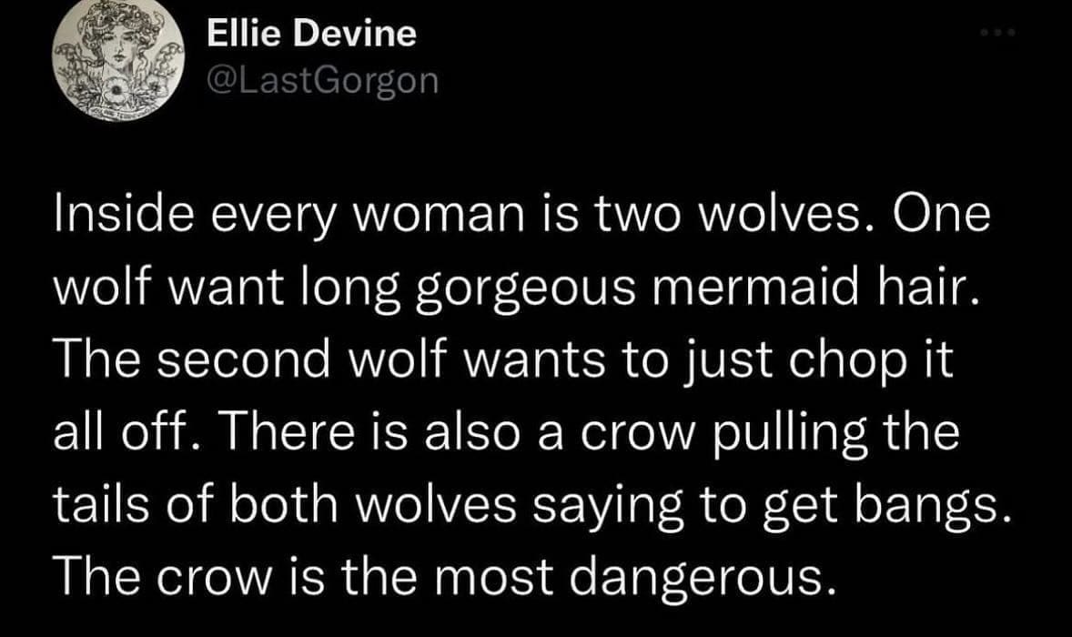 funny pictures Inside every woman is two wolves. One wolf want long gorgeous mermaid hair. The second wolf wants to just chop it all off. There is also a crow pulling the tails of both wolves saying to get bangs. The crow is the most dangerous.