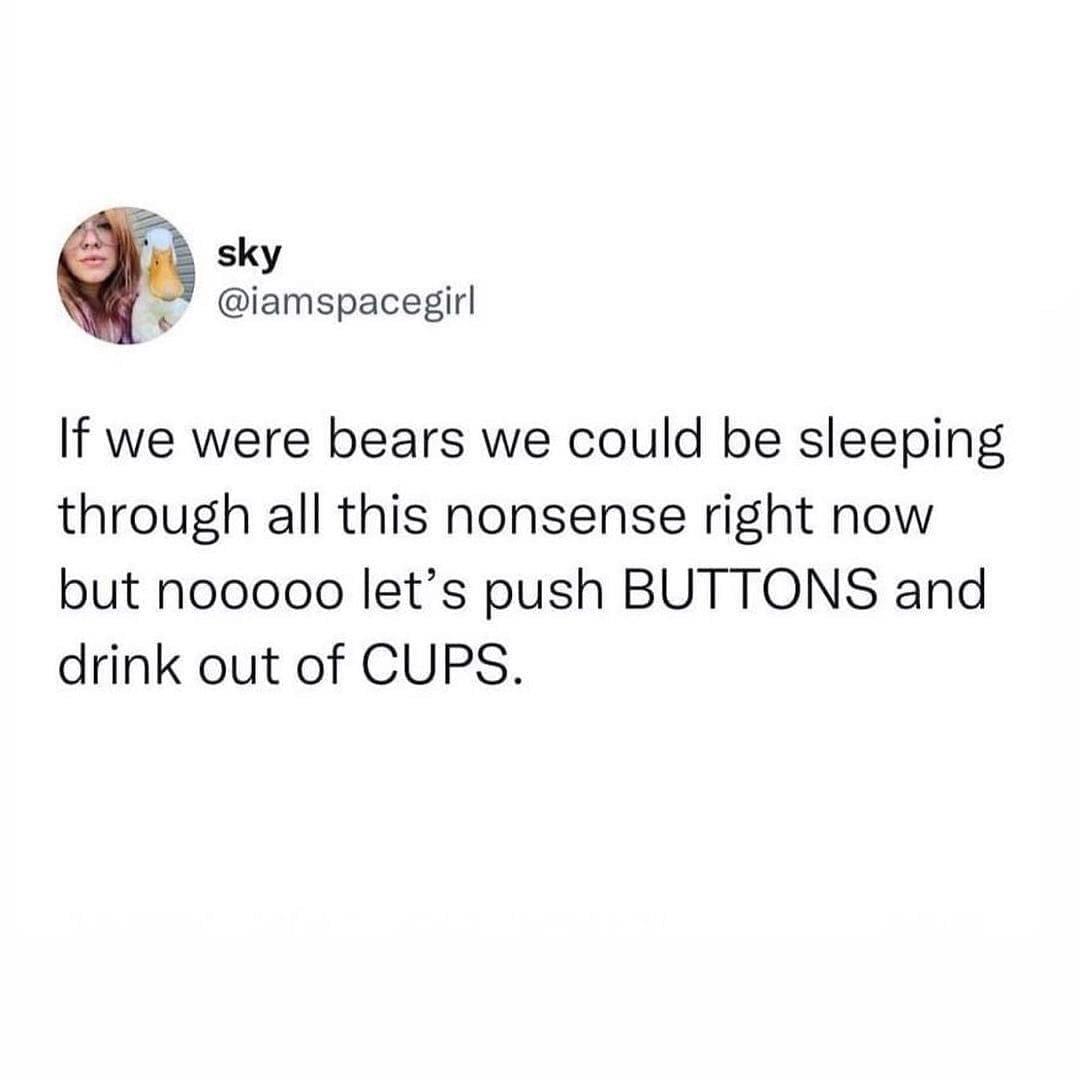 funny pictures If we were bears we could be sleeping through all this nonsense right now but nooooo let's push BUTTONS and drink out of CUPS.