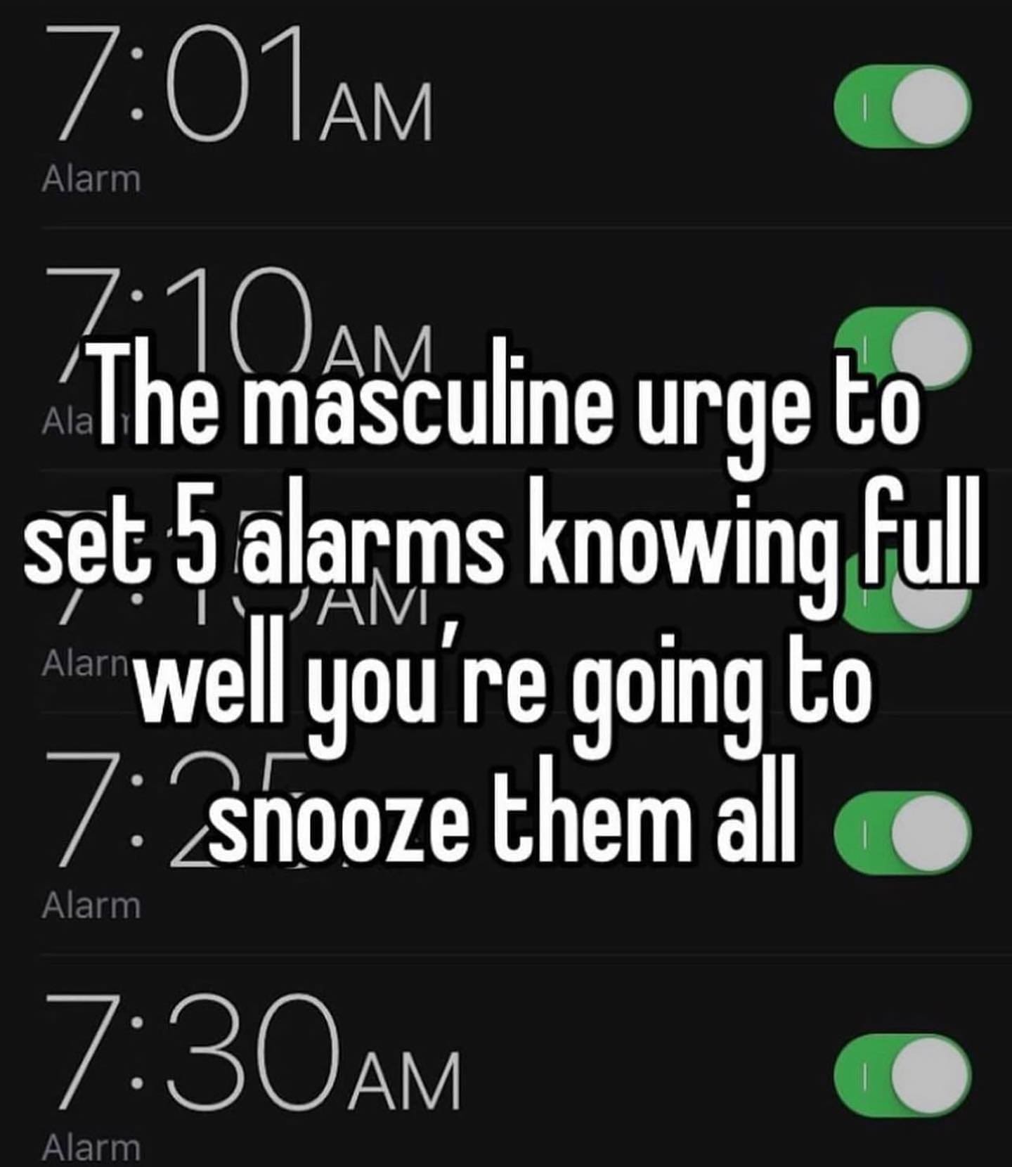 funny pictures The masculine urge to set 5 alarms knowing fu a well you're going to 7: Snooze them all