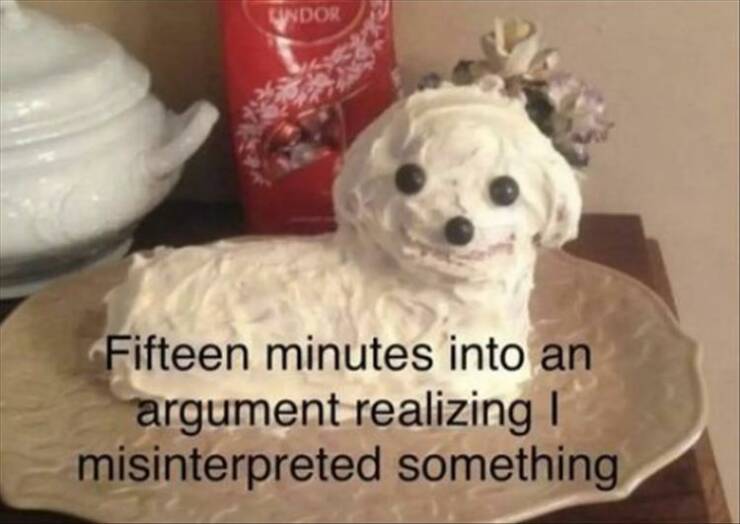 funny pictures Fifteen minutes into an argument realizing I misinterpreted something