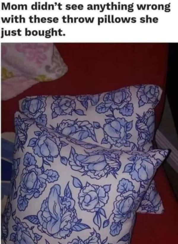 Hold Up Memes Mom didn't see anything wrong with these throw pillows she just bought.