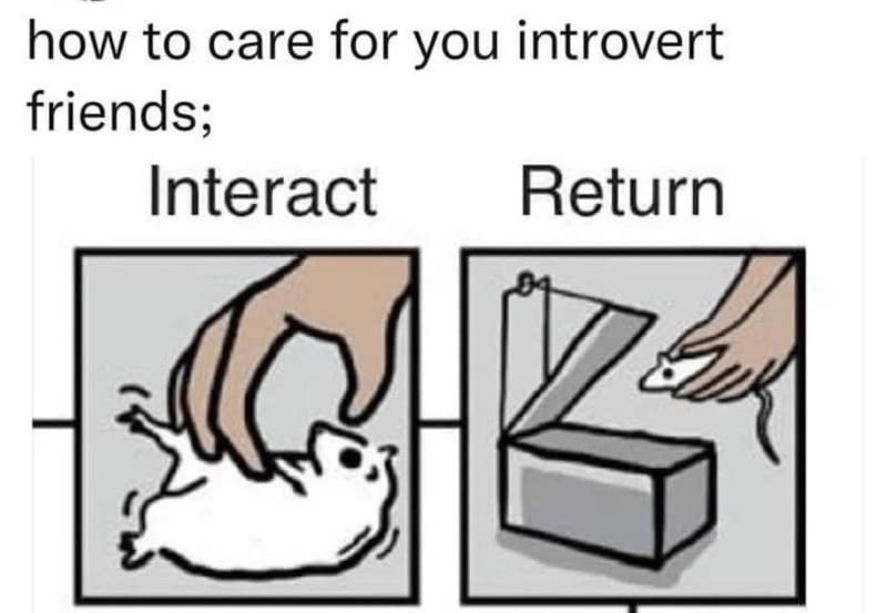 introvert memes