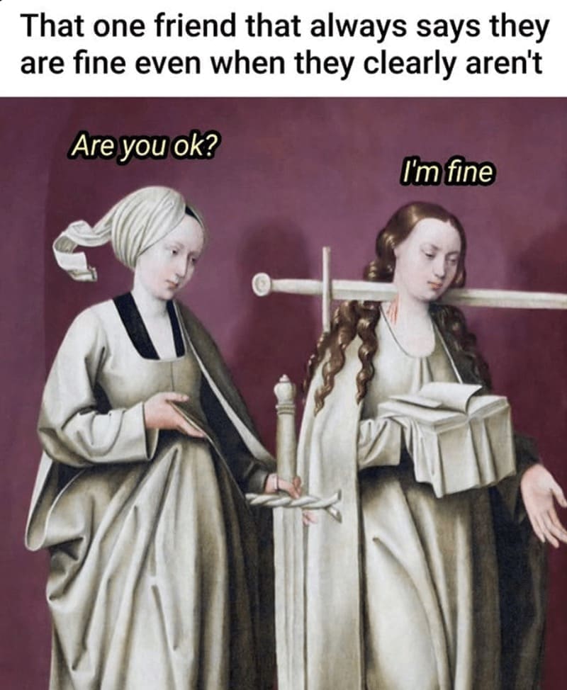 introvert memes That one friend that always says they are fine even when they clearly aren't Are you ok? I'm fine