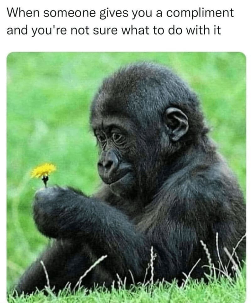introvert memes When someone gives you a compliment and you're not sure what to do with it