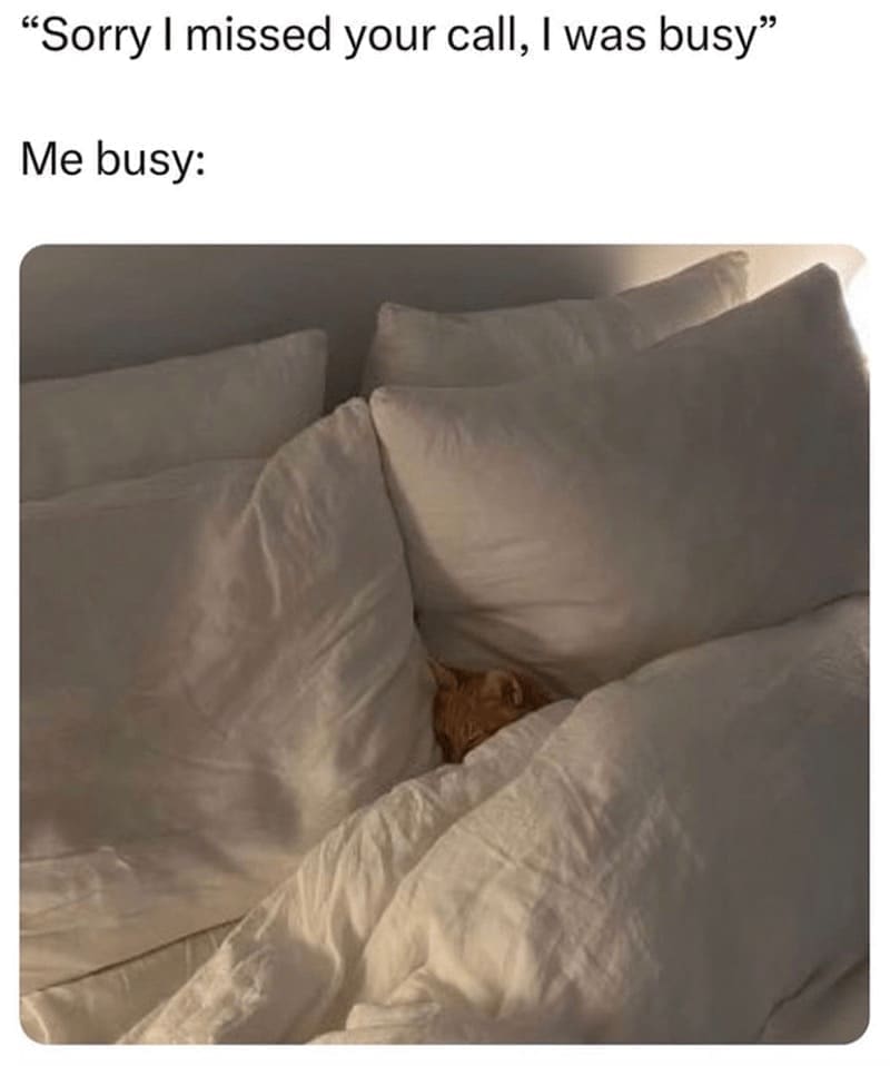 introvert memes "Sorry I missed your call, I was busy" Me busy: