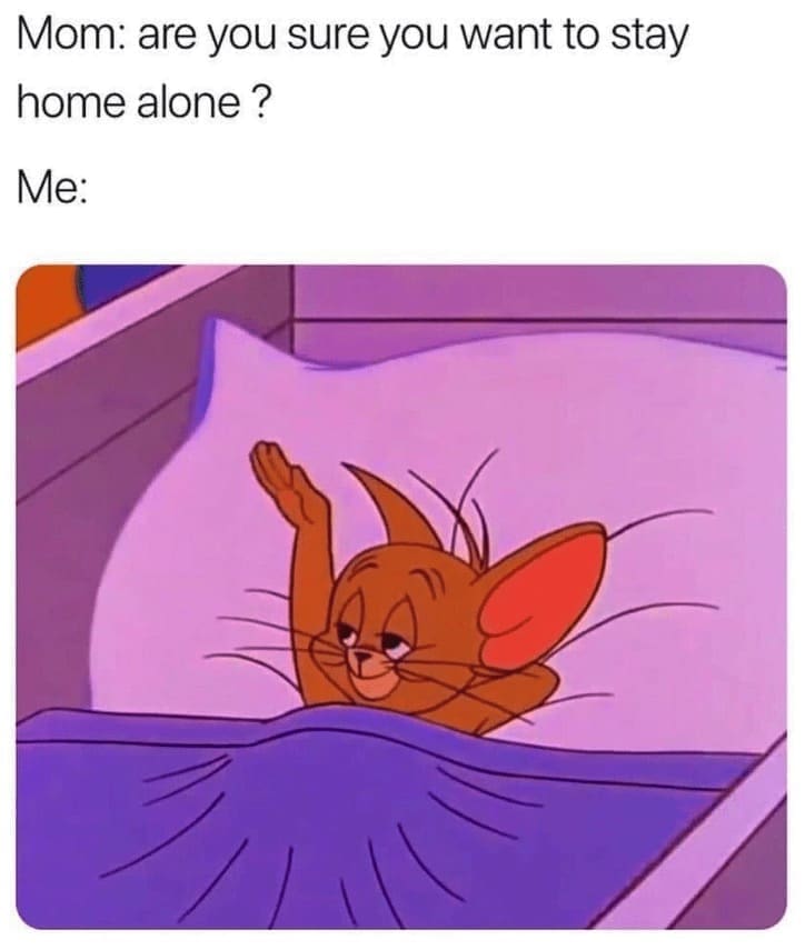 introvert memes Mom: are you sure you want to stay home alone? Me: