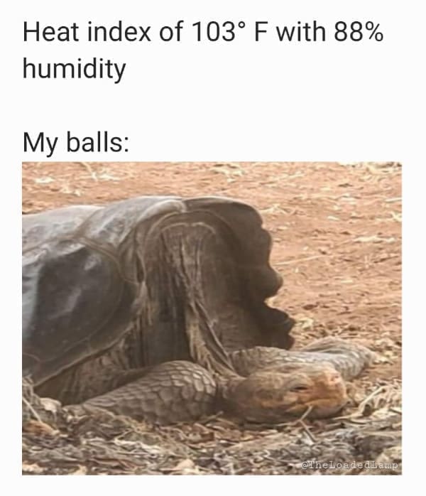 men memes Heat index of 103° F with 88% humidity My balls: