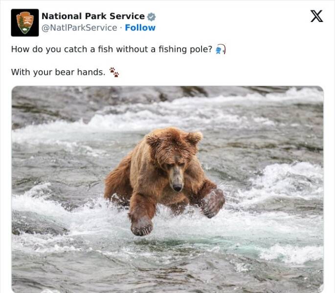 national park service tweets How do you catch a fish without a fishing pole? «) With your bear hands.