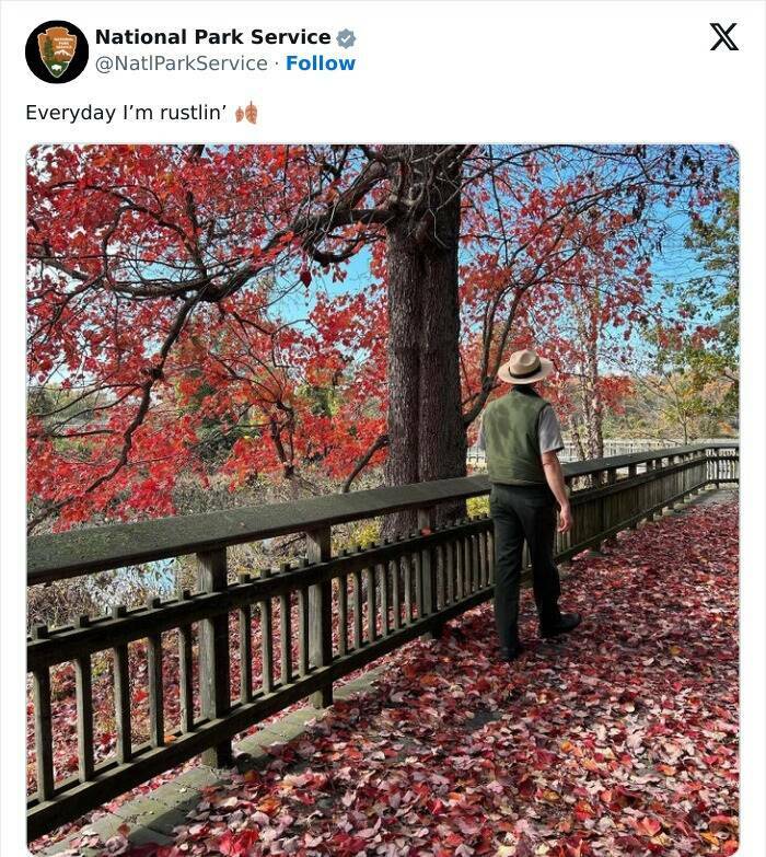 national park service tweets Everyday I'm rustlin'