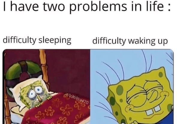 self deprecating memes I have two problems in life difficulty sleeping difficulty waking up