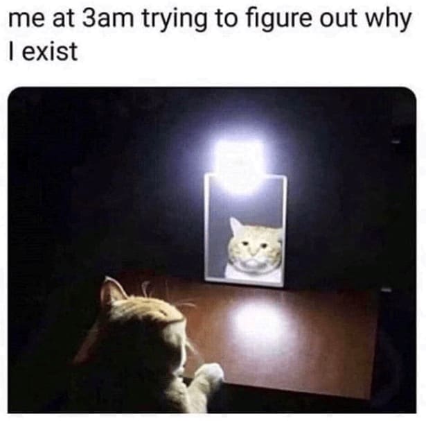 self deprecating memes me at 3am trying to figure out why I exist