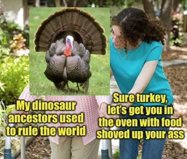thanksgiving memes Mydinosaur ancestors used to rule the world Sure turkey, let's get you in the oven with food shoved up vour
