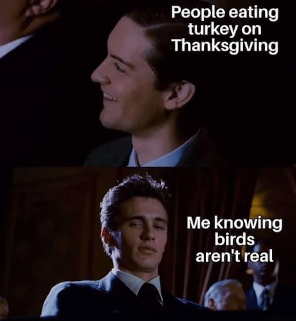 thanksgiving memes People eating turkey on Thanksgiving Me knowing birds aren't real