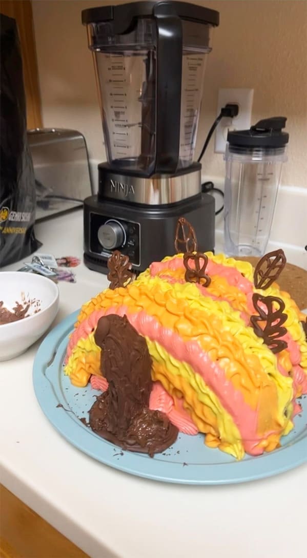 thanksgiving turkey cake fail