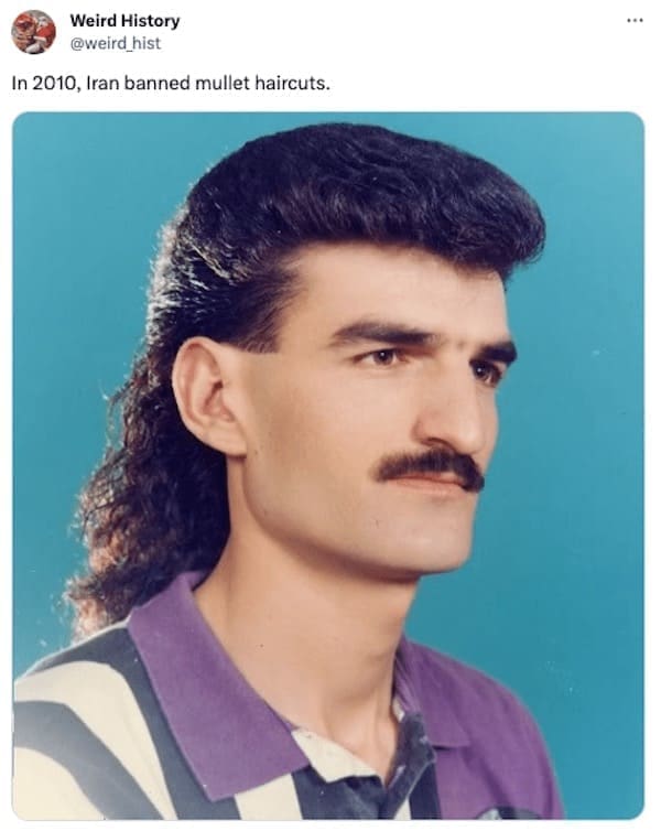 weird history facts In 2010, Iran banned mullet haircuts.