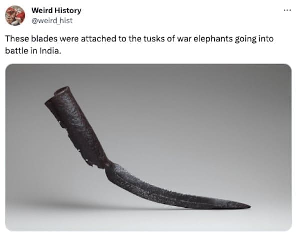 weird history facts These blades were attached to the tusks of war elephants going into battle in India.