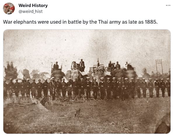 weird history facts War elephants were used in battle by the Thai army as late as 1885.