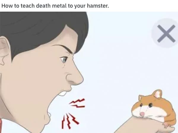 wiki how memes How to teach death metal to your hamster.