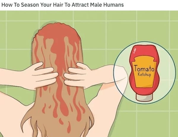 wiki how memes How To Season Your Hair To Attract Male Humans