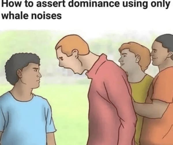wiki how memes How to assert dominance using only whale noises