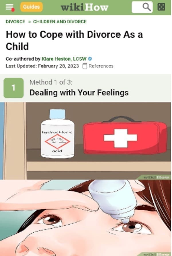 wiki how memes How to Cope with Divorce As a Child