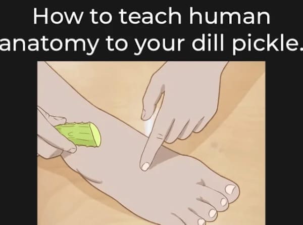 wiki how memes How to teach human anatomy to your dill pickle.