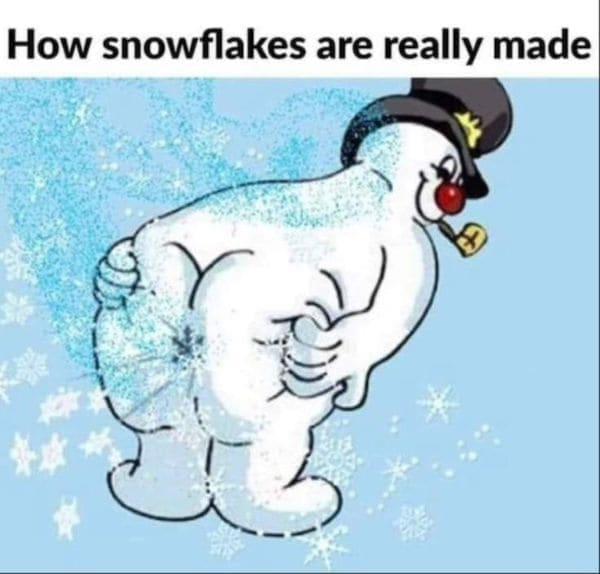 winter memes How snowflakes are really made