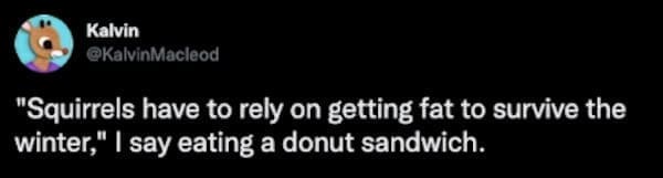 winter memes "Squirrels have to rely on getting fat to survive the winter," I say eating a donut sandwich.