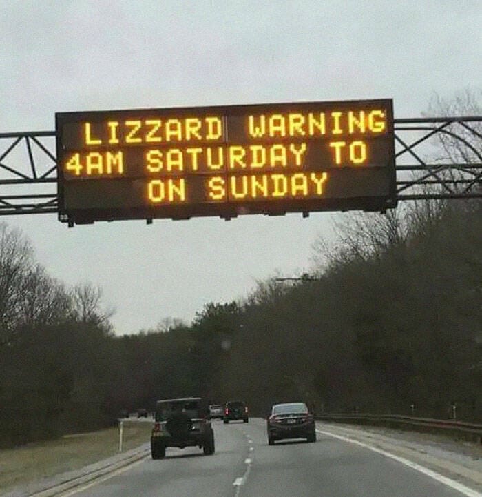 autocorrect fails LIZZARD WARNING 4AM SATURDAY TO ON SUNDAY