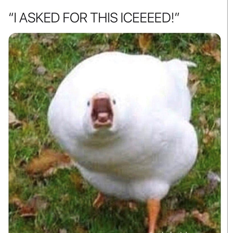Barista Memes "I ASKED FOR THIS ICEEEED!"