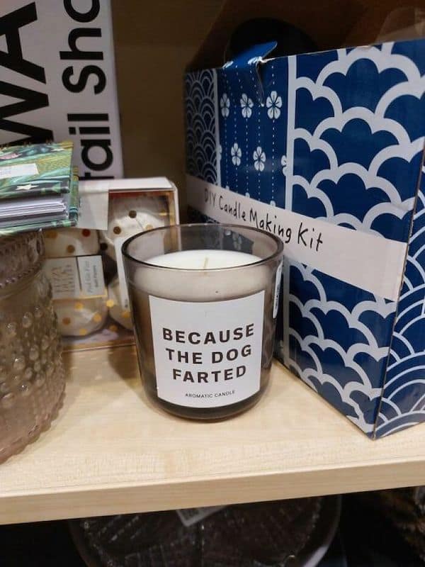 best thrift store finds