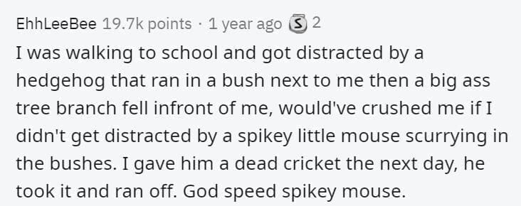 Butterfly Effect Stories I procrastinated one day in high school by watching a foreign musical on youtube. I ended up trying to learn the lyrics and eventually the language. That led me to discovering the field of linguistics, which I'm now majoring in. I don't know what I'd be doing now had I actually started doing my homework that day instead.