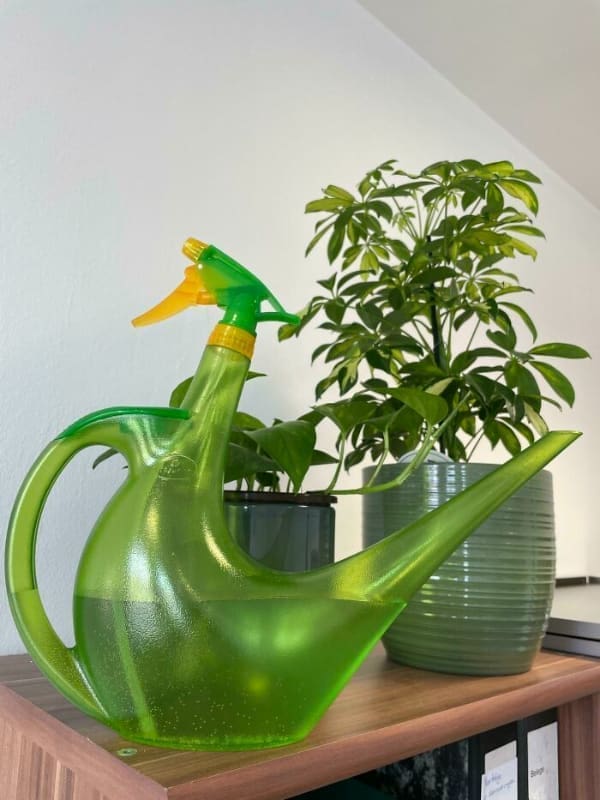 Clever Designs watering can with spray nozzle