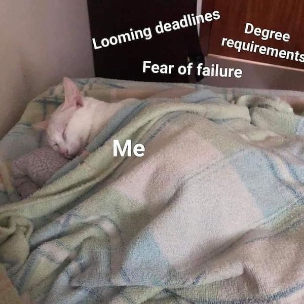cozy meme Looming deadlines Degree requirements Fear of failure Me