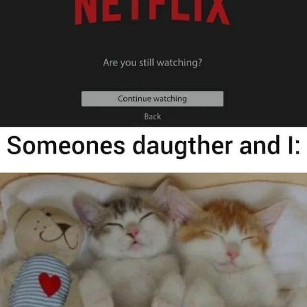cozy meme Are you still watching? Continue watching Back Someones daugther and I: